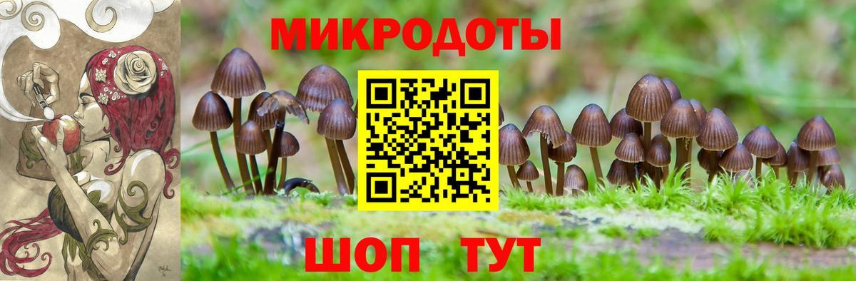 Галлюциногенные грибы Psilocybe Арсеньев